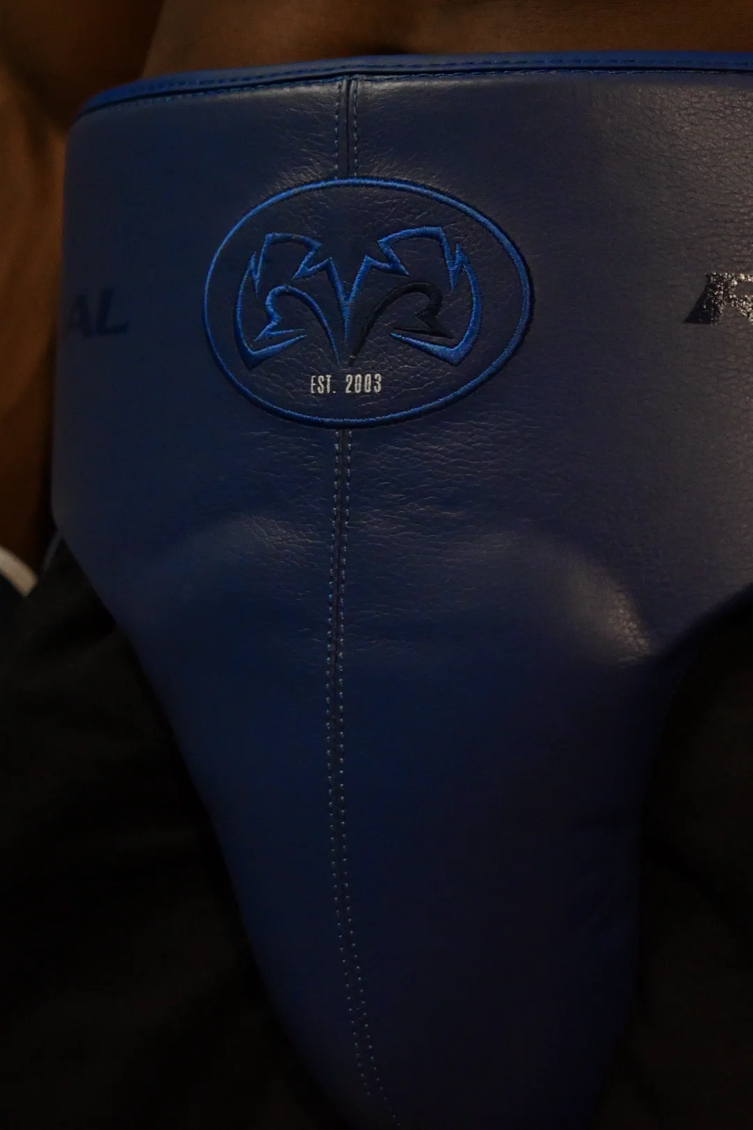 RNFL-Guerrero 180 Protector - Image 8