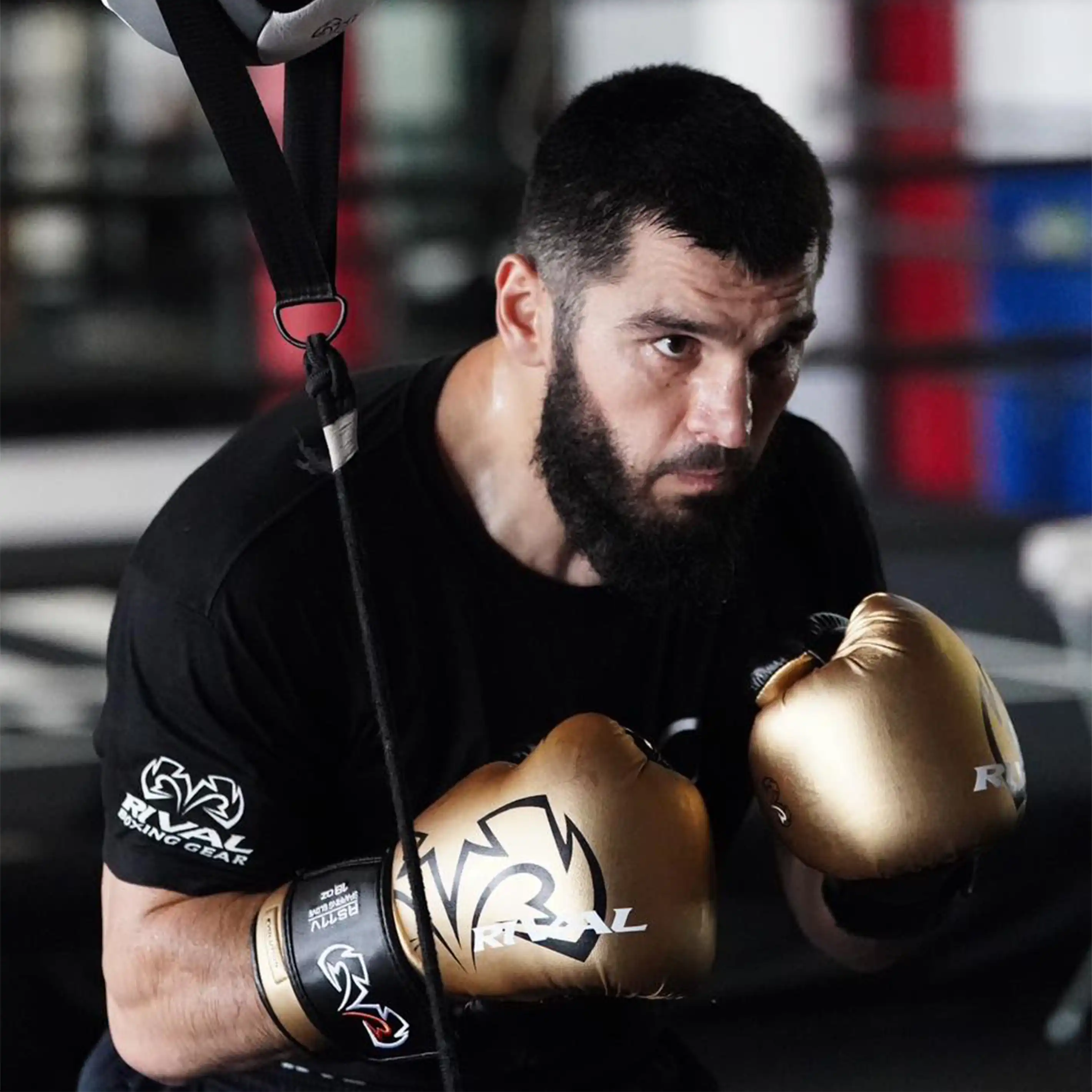 RS11V Evolution Sparring Gloves - Image 27